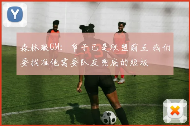 森林狼GM：华子已是联盟前五 我们要找准他需要队友兜底的短板